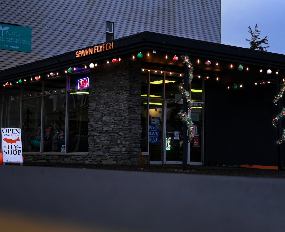 Shops lit up in downtown Ilwaco