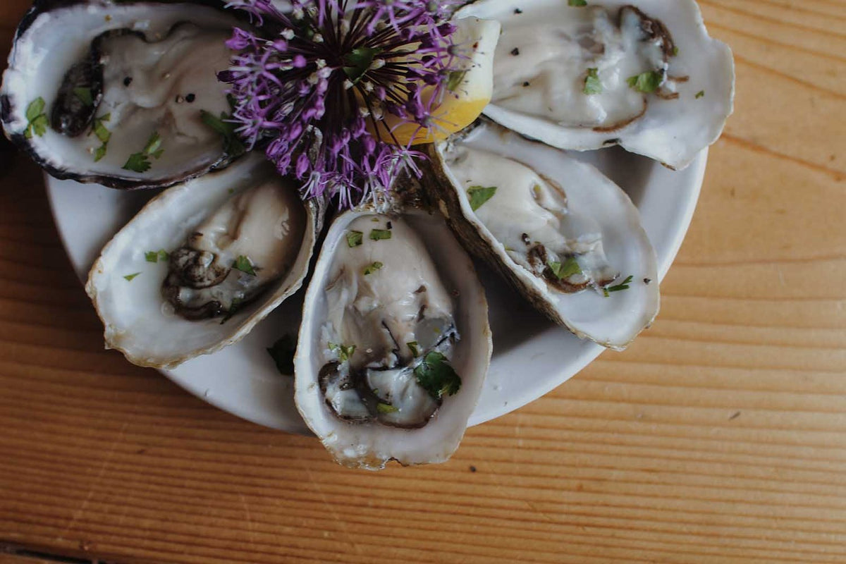 Fresh oysters from Ilwaco